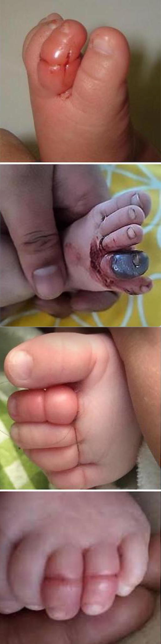 Captura de pantalla 2019-02-28 a la(s) 4.06.30 p. m.