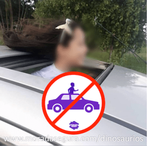 Captura de Pantalla 2019-06-27 a la(s) 10.45.53 a. m.