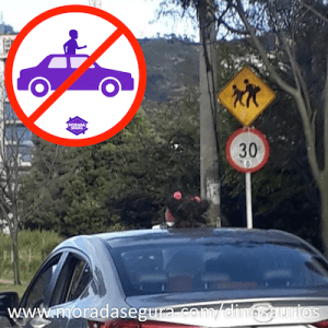 Captura de Pantalla 2019-09-04 a la(s) 11.33.31 a. m.