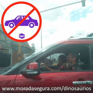 Captura de Pantalla 2020-02-03 a la(s) 11.43.49 a. m.