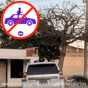 Captura de Pantalla 2020-02-03 a la(s) 11.48.29 a. m.