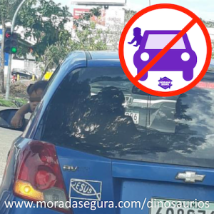 Captura de Pantalla 2020-02-03 a la(s) 11.55.41 a. m.